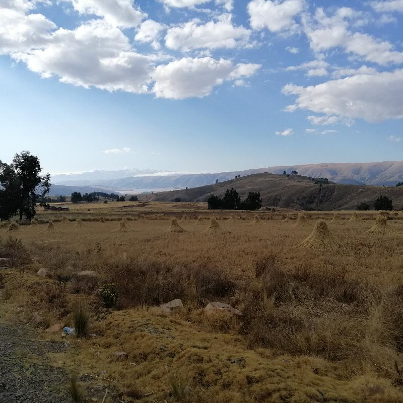 Moisson et paysages sur la route vers Cochabamba